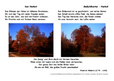 Der-Herbst-Hölderlin.pdf